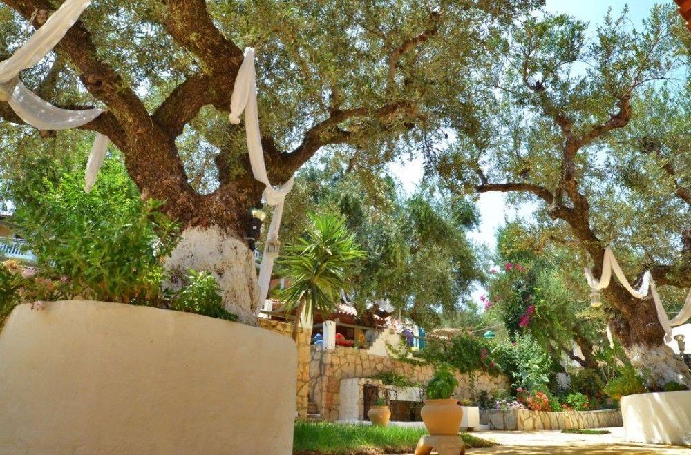 Sole E Mare Apartments Tsilivi  Ngoại thất bức ảnh