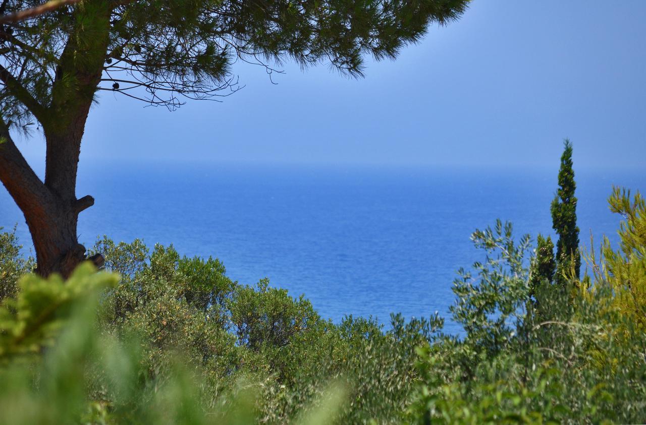 Sole E Mare Apartments Tsilivi  Ngoại thất bức ảnh