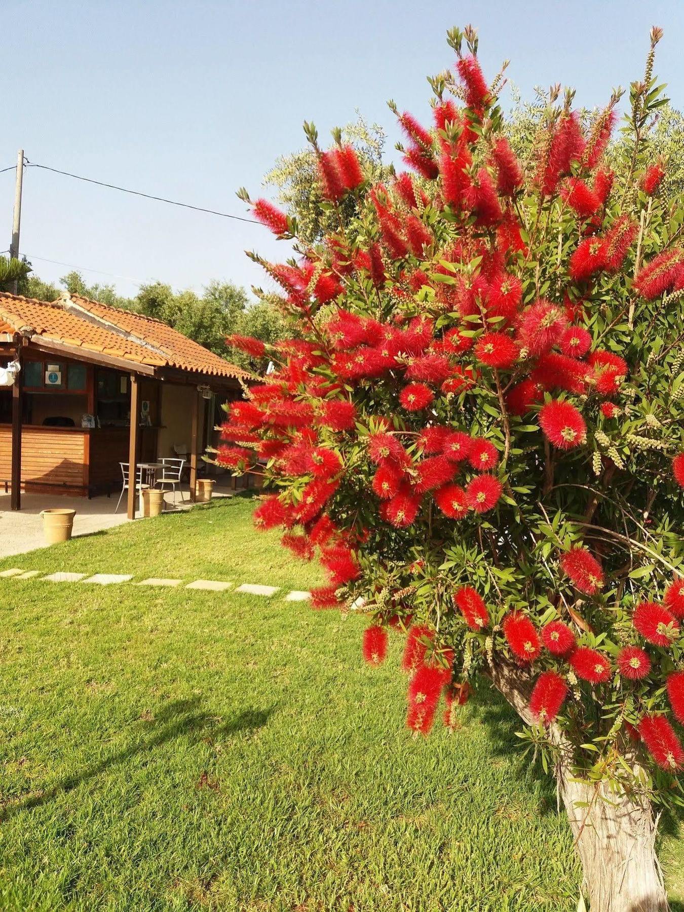 Sole E Mare Apartments Tsilivi  Ngoại thất bức ảnh